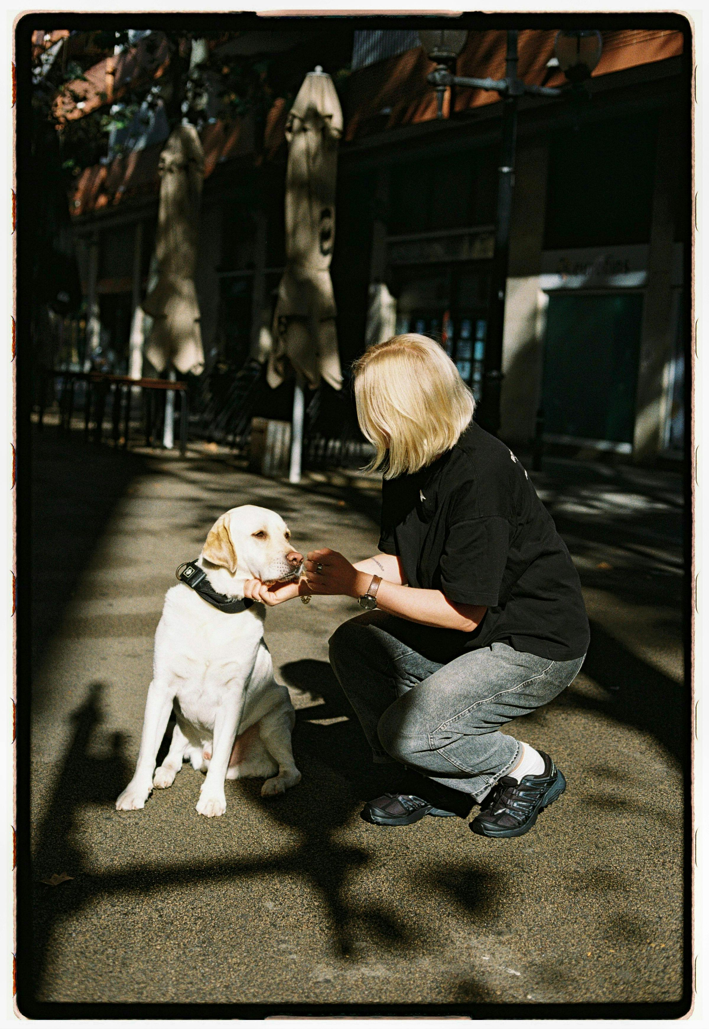 daily vlog style, candid shot, warm natural light, sunny street, a girl playing with her white Labrador, dog taking treats from hand, gentle head scratch, slow natural movement, soft breeze, casual street background, retro filter, smooth motion